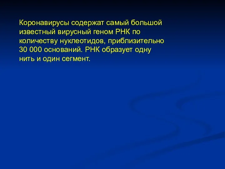 Коронавирусы содержат самый большой известный вирусный геном РНК по количеству нуклеотидов,