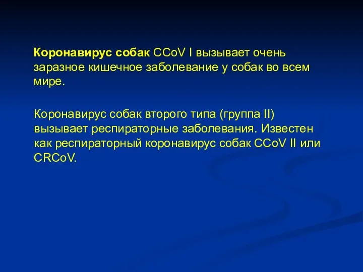 Коронавирус собак второго типа (группа II) вызывает респираторные заболевания. Известен как