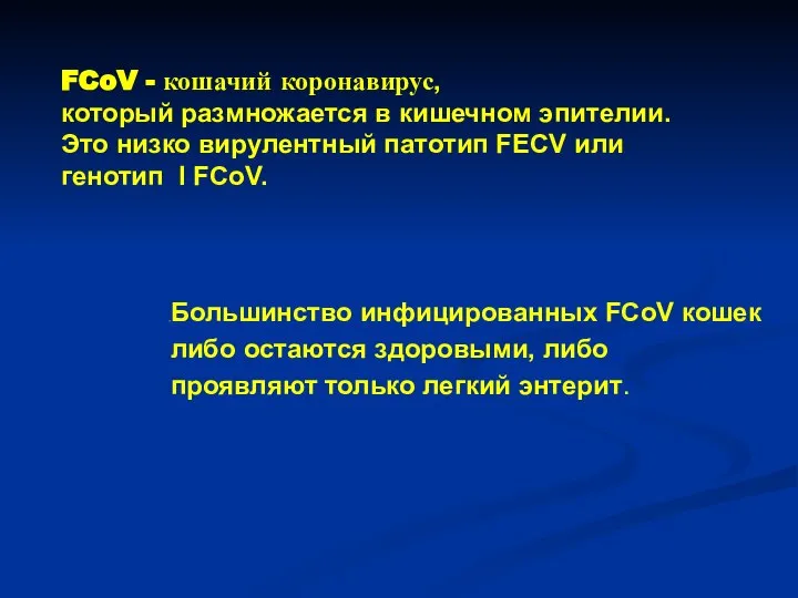 FCoV - кошачий коронавирус, который размножается в кишечном эпителии. Это низко