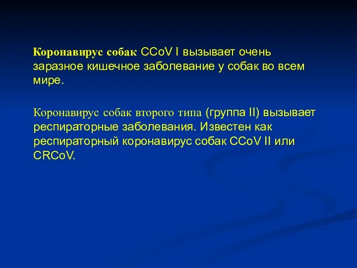 Коронавирус собак второго типа (группа II) вызывает респираторные заболевания. Известен как