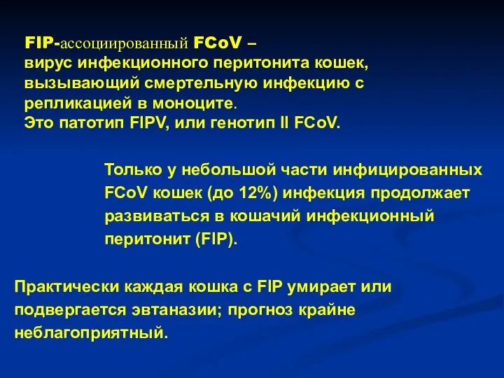 FIP-ассоциированный FCoV – вирус инфекционного перитонита кошек, вызывающий смертельную инфекцию с