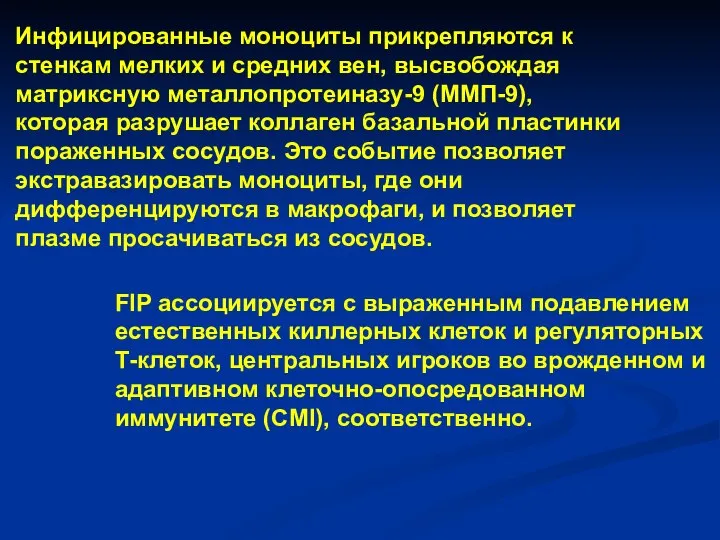 FIP ассоциируется с выраженным подавлением естественных киллерных клеток и регуляторных Т-клеток,