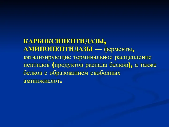 КАРБОКСИПЕПТИДАЗЫ, АМИНОПЕПТИДАЗЫ — ферменты, катализирующие терминальное расщепление пептидов (продуктов распада белков),