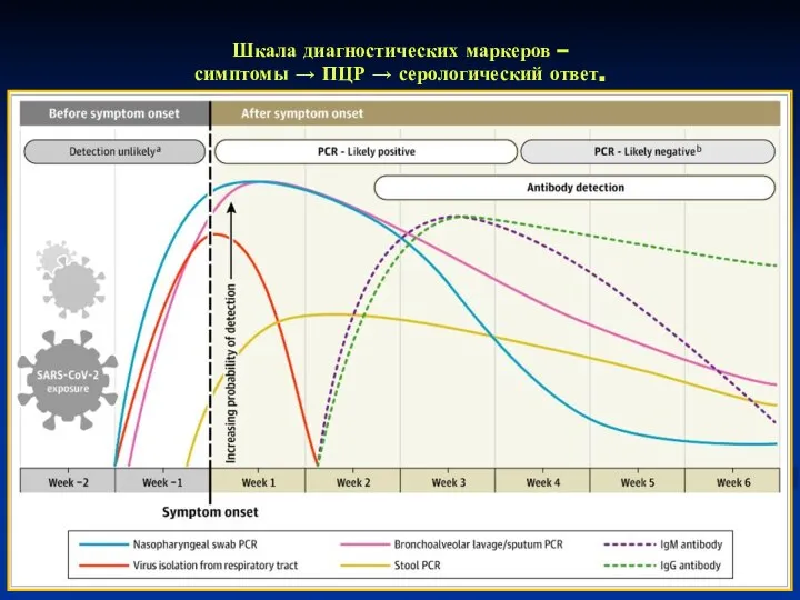 Шкала диагностических маркеров – симптомы → ПЦР → серологический ответ.