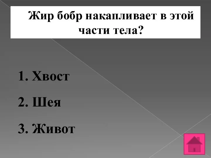 Жир бобр накапливает в этой части тела? 1. Хвост 2. Шея 3. Живот