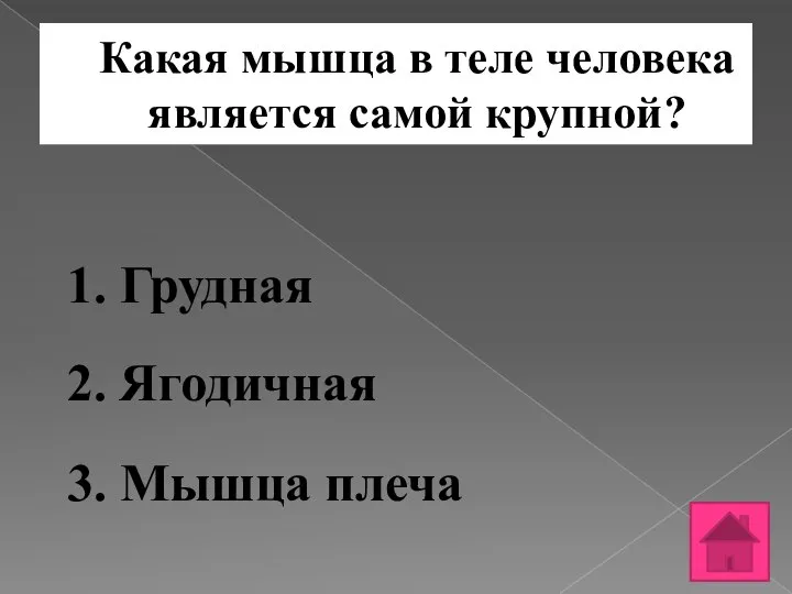 Какая мышца в теле человека является самой крупной? 1. Грудная 2. Ягодичная 3. Мышца плеча