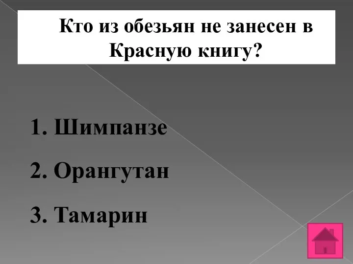 Кто из обезьян не занесен в Красную книгу? 1. Шимпанзе 2. Орангутан 3. Тамарин