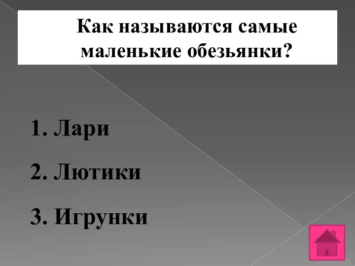 Как называются самые маленькие обезьянки? 1. Лари 2. Лютики 3. Игрунки