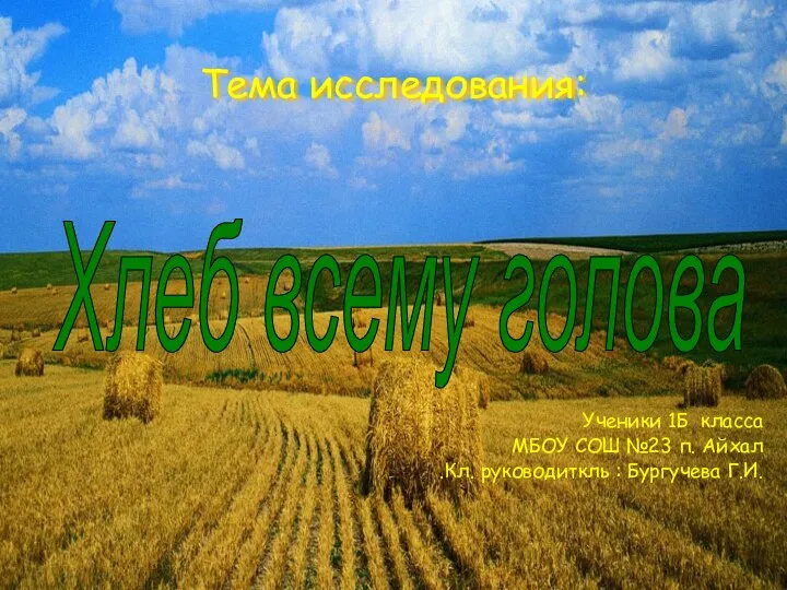 Тема исследования: Ученики 1Б класса МБОУ СОШ №23 п. Айхал .Кл.