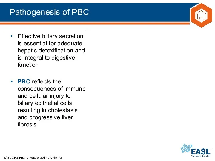 Pathogenesis of PBC EASL CPG PBC. J Hepatol 2017;67:145–72 Effective biliary