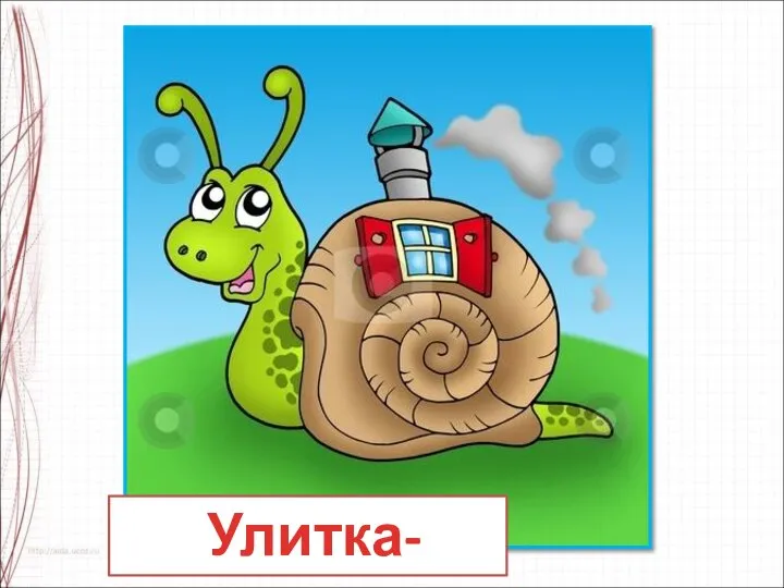 Улитка-домик