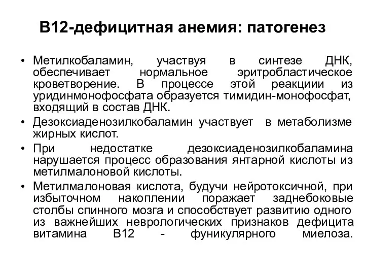 В12-дефицитная анемия: патогенез Метилкобаламин, участвуя в синтезе ДНК, обеспечивает нормальное эритробластическое