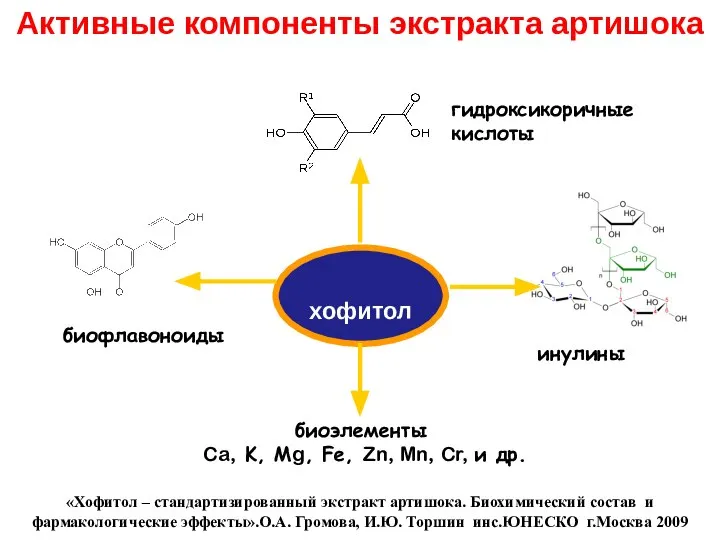 инулины хофитол гидроксикоричные кислоты биофлавоноиды биоэлементы Ca, K, Мg, Fe, Zn,