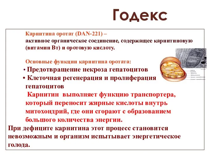 Годекс Карнитина оротат (DAN-221) – активное органическое соединение, содержащее карнитиновую (витамин