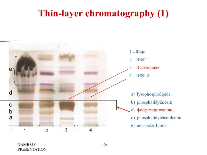 NAME OF PRESENTATION | Thin-layer chromatography (1) 1 –Яйцо 2 –