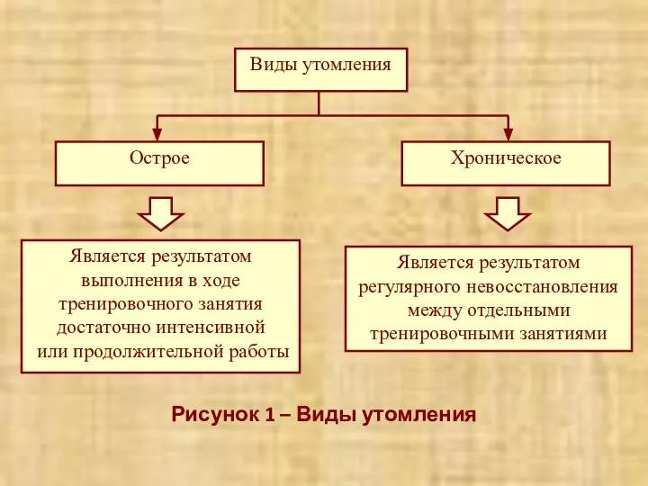 Рисунок 1 – Виды утомления