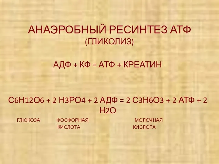 АНАЭРОБНЫЙ РЕСИНТЕЗ АТФ (ГЛИКОЛИЗ) АДФ + КФ = АТФ + КРЕАТИН