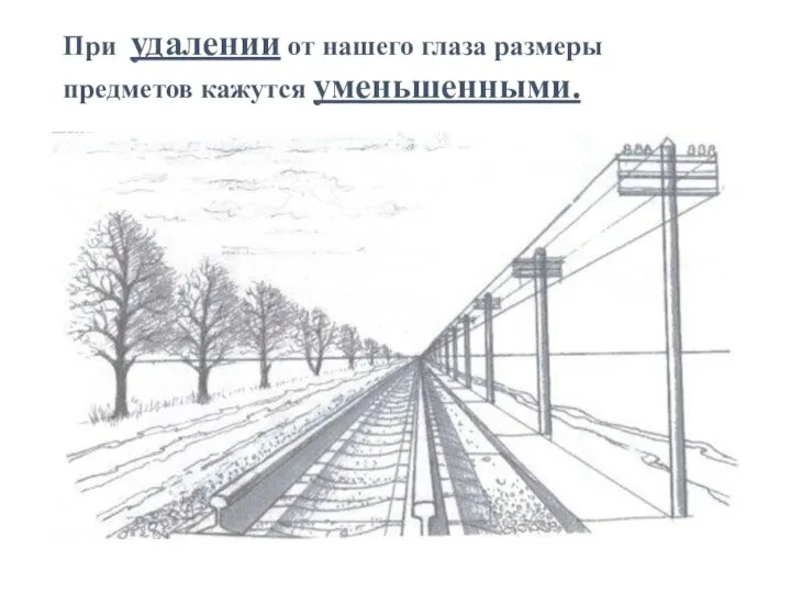 При удалении от нашего глаза размеры предметов кажутся уменьшенными.