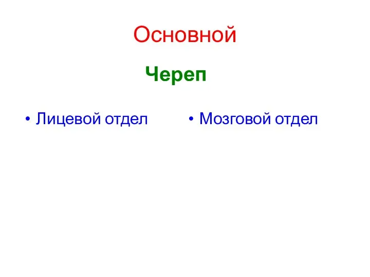 Основной Череп Лицевой отдел Мозговой отдел