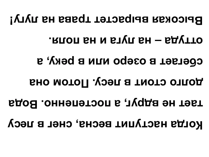 Когда наступит весна, снег в лесу тает не вдруг, а постепенно.