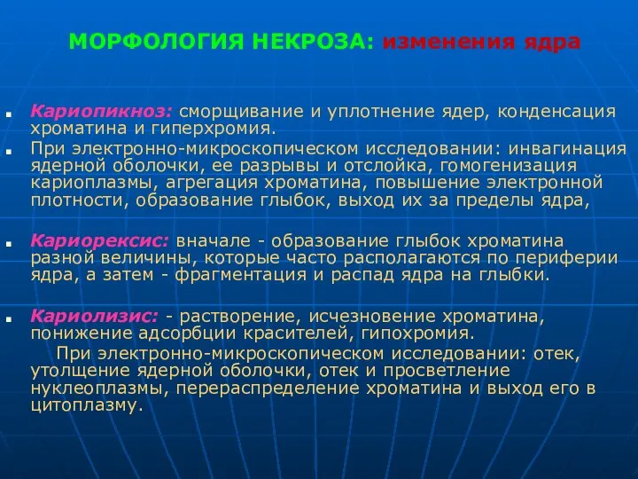 МОРФОЛОГИЯ НЕКРОЗА: изменения ядра Кариопикноз: сморщивание и уплотнение ядер, конденсация хроматина