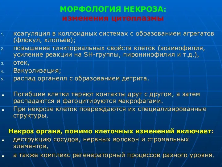 МОРФОЛОГИЯ НЕКРОЗА: изменения цитоплазмы коагуляция в коллоидных системах с образованием агрегатов