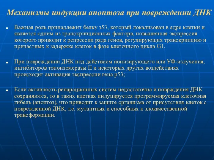 Механизмы индукции апоптоза при повреждении ДНК Важная роль принадлежит белку з53,