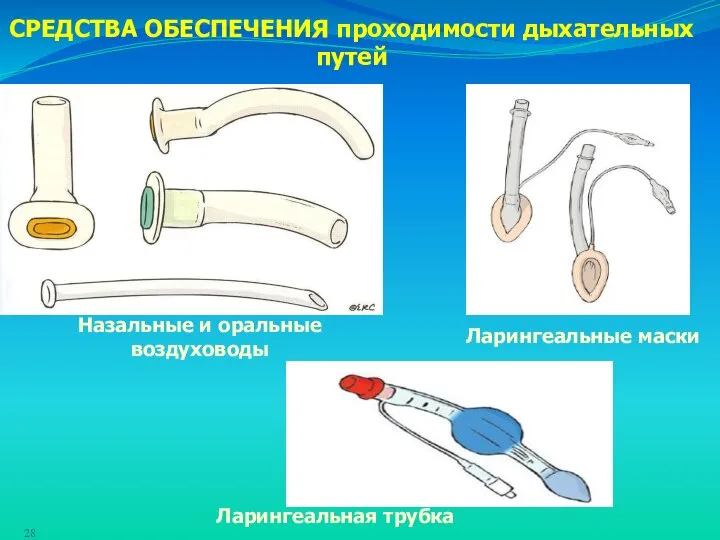 СРЕДСТВА ОБЕСПЕЧЕНИЯ проходимости дыхательных путей Назальные и оральные воздуховоды Ларингеальные маски Ларингеальная трубка