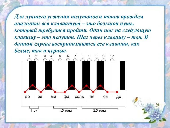 Для лучшего усвоения полутонов и тонов проведем аналогию: вся клавиатура –