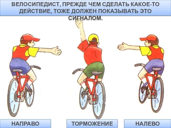 ВЕЛОСИПЕДИСТ, ПРЕЖДЕ ЧЕМ СДЕЛАТЬ КАКОЕ-ТО ДЕЙСТВИЕ, ТОЖЕ ДОЛЖЕН ПОКАЗЫВАТЬ ЭТО СИГНАЛОМ. НАПРАВО ТОРМОЖЕНИЕ НАЛЕВО