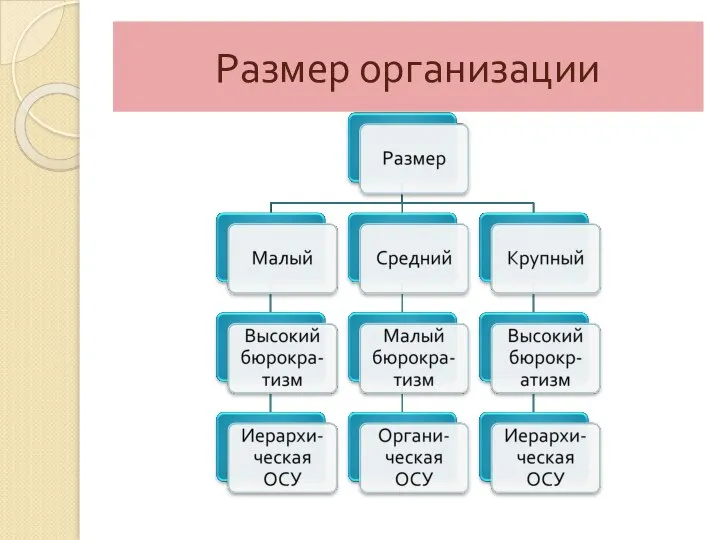 Размер организации