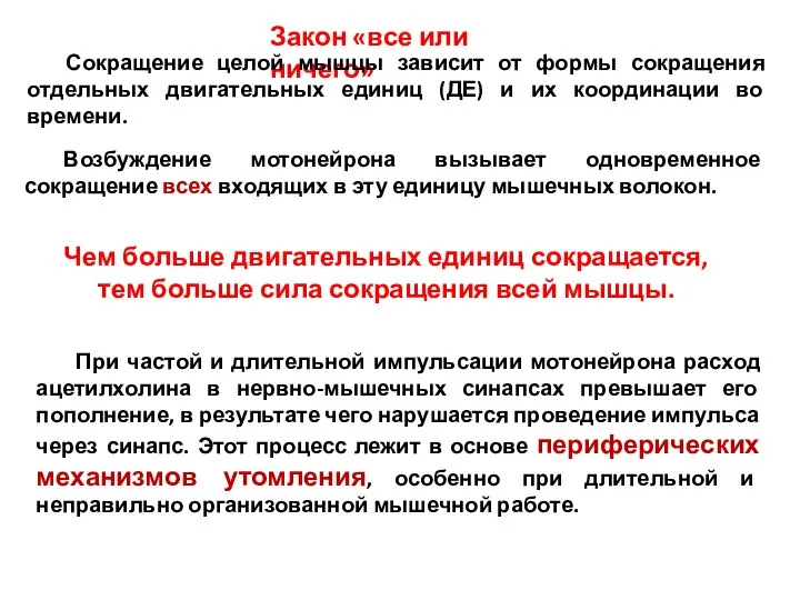 Возбуждение мотонейрона вызывает одновременное сокращение всех входящих в эту единицу мышечных