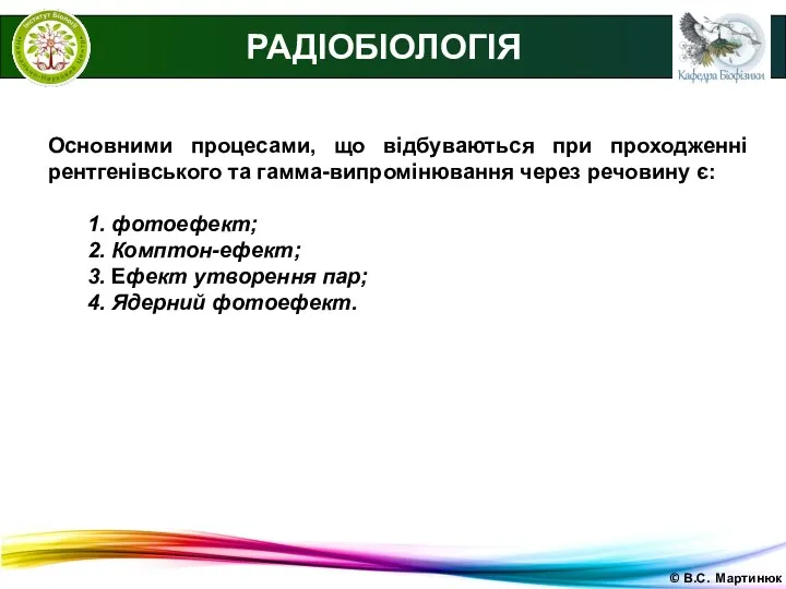 © В.С. Мартинюк РАДІОБІОЛОГІЯ Основними процесами, що відбуваються при проходженні рентгенівського