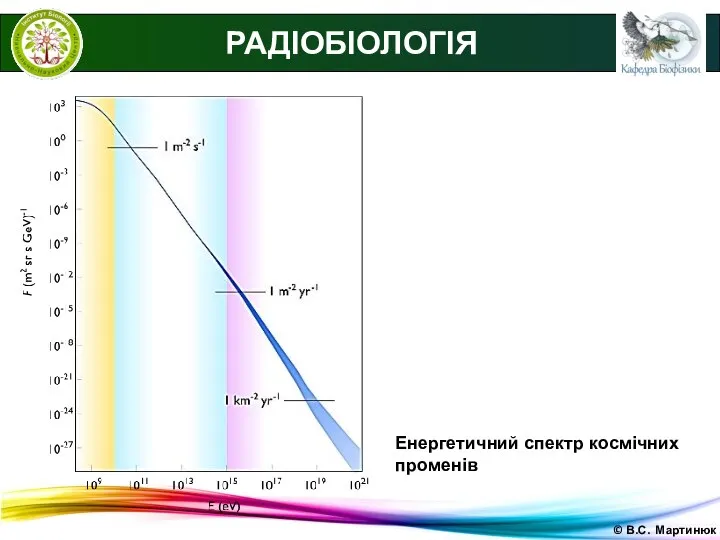 © В.С. Мартинюк РАДІОБІОЛОГІЯ Енергетичний спектр космічних променів