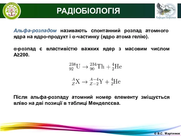 © В.С. Мартинюк РАДІОБІОЛОГІЯ Альфа-розпадом називають спонтанний розпад атомного ядра на