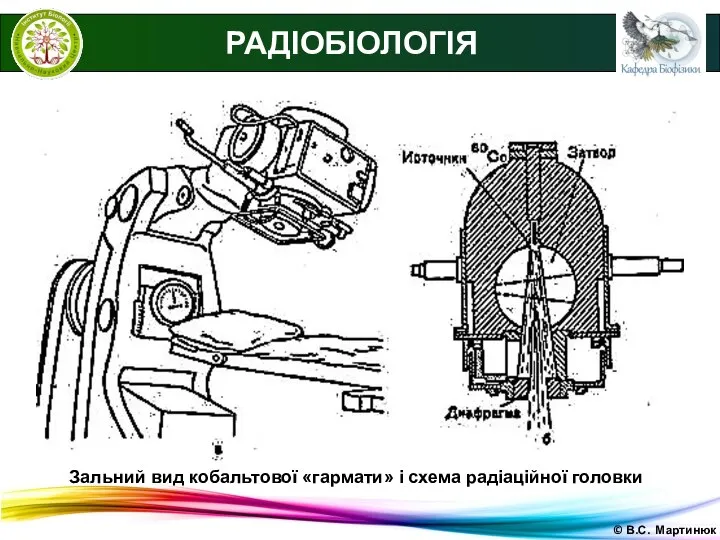 © В.С. Мартинюк РАДІОБІОЛОГІЯ Зальний вид кобальтової «гармати» і схема радіаційної головки
