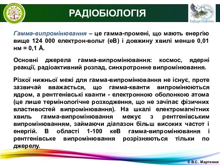 © В.С. Мартинюк РАДІОБІОЛОГІЯ Гамма-випромінювання – це гамма-промені, що мають енергію