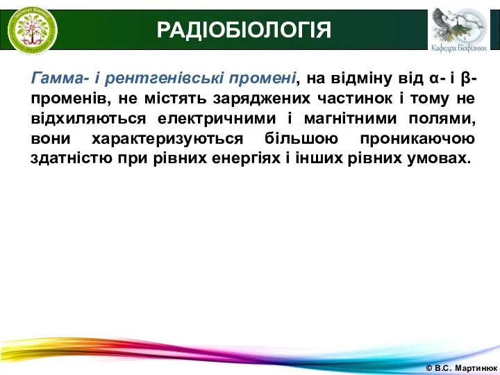 © В.С. Мартинюк РАДІОБІОЛОГІЯ Гамма- і рентгенівські промені, на відміну від