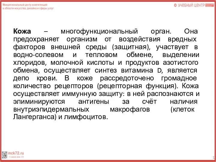 Кожа – многофункциональный орган. Она предохраняет организм от воздействия вредных факторов