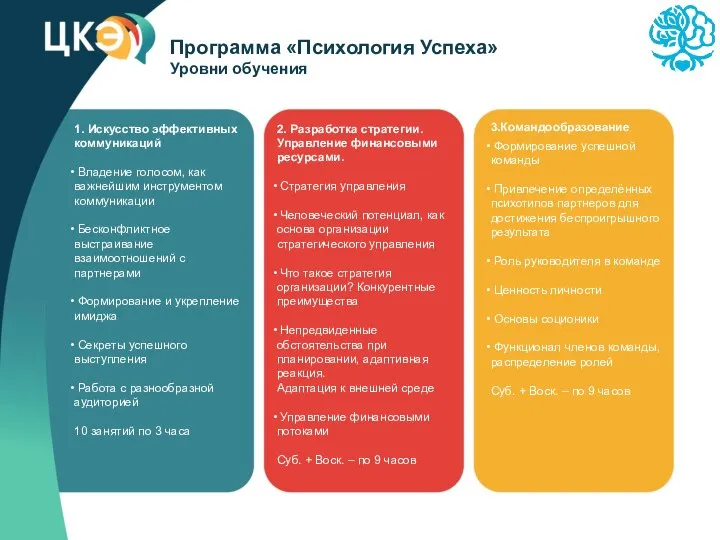 Программа «Психология Успеха» Уровни обучения 1. Искусство эффективных коммуникаций Владение голосом,