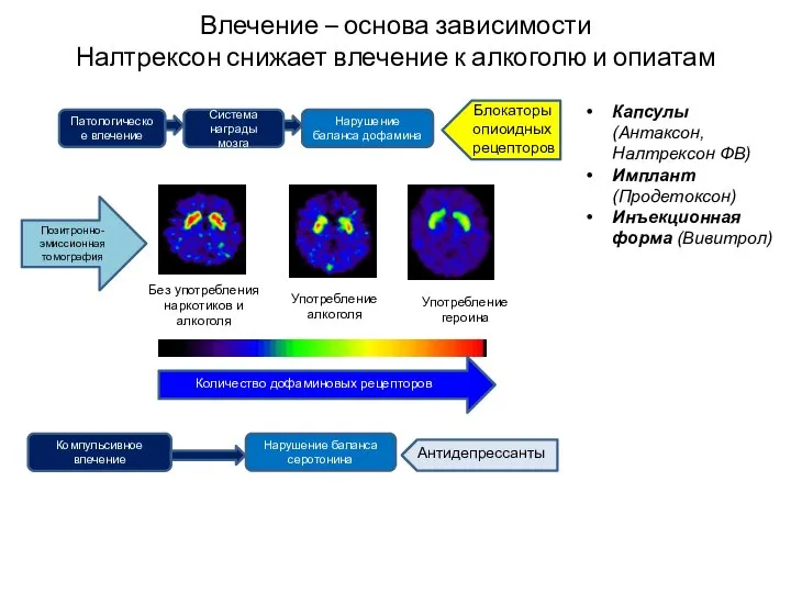 Влечение – основа зависимости Налтрексон снижает влечение к алкоголю и опиатам