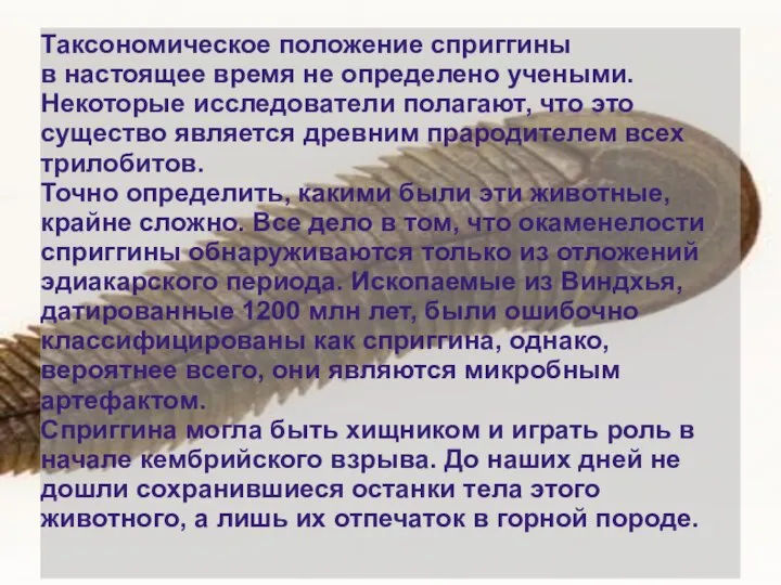 Таксономическое положение сприггины в настоящее время не определено учеными. Некоторые исследователи