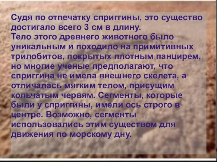 Судя по отпечатку сприггины, это существо достигало всего 3 см в