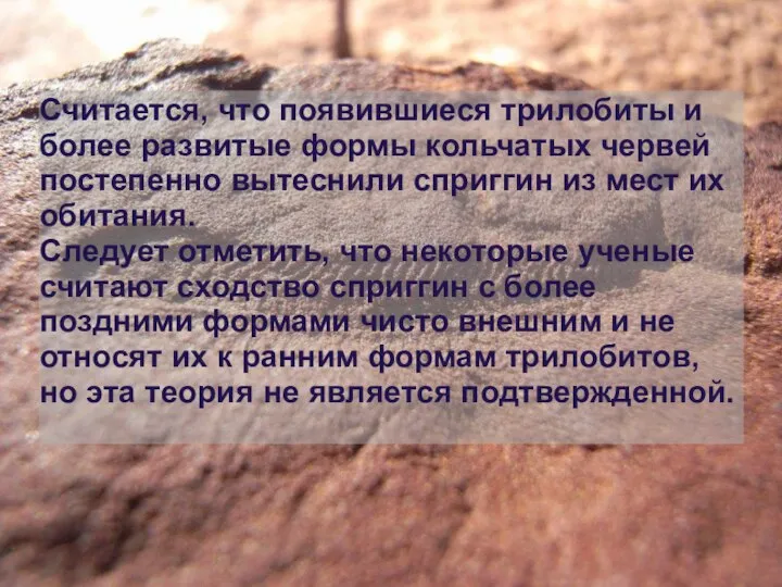 Считается, что появившиеся трилобиты и более развитые формы кольчатых червей постепенно