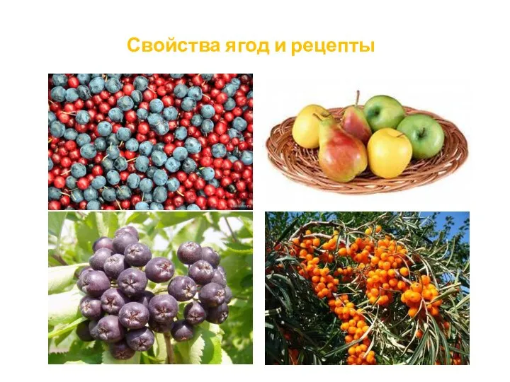 Свойства ягод и рецепты .