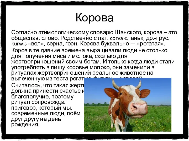 Корова Согласно этимологическому словарю Шанского, корова – это общеслав. слово. Родственно