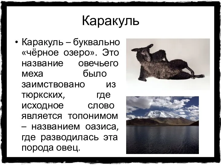 Каракуль Каракуль – буквально «чёрное озеро». Это название овечьего меха было