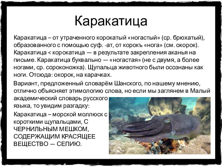 Каракатица Каракатица – от утраченного корокатый «ногастый» (ср. брюхатый), образованного с