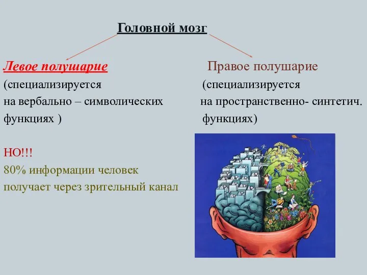 Головной мозг Левое полушарие Правое полушарие (специализируется (специализируется на вербально –