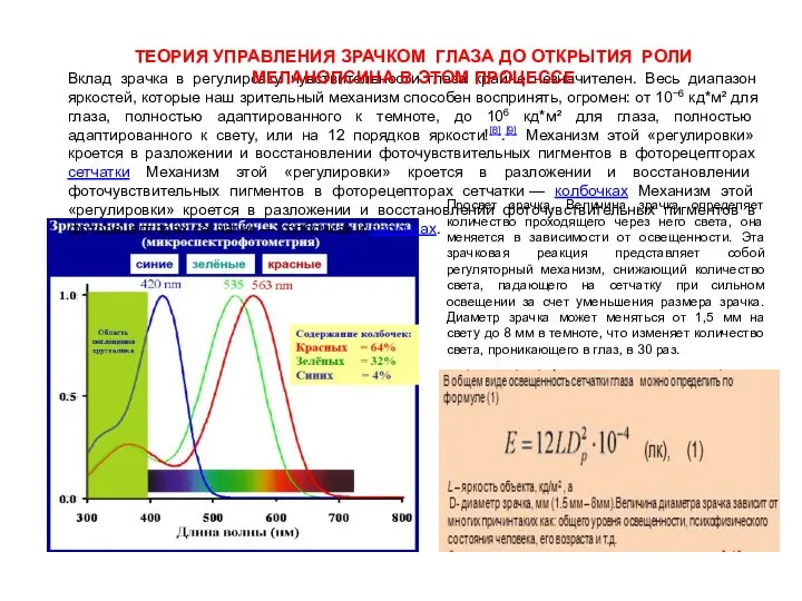 Вклад зрачка в регулировку чувствительности глаза крайне незначителен. Весь диапазон яркостей,